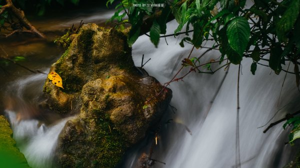 跟着圣玉去旅行，做一个水姑娘