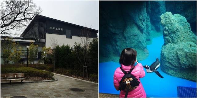 一个中国妈妈带着孩子去了美国,带孩子去日本攻略