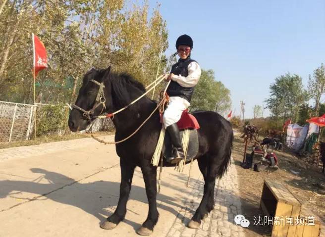 沈阳五一亲子游去哪玩,五一沈阳游玩攻略带孩子沈阳市内