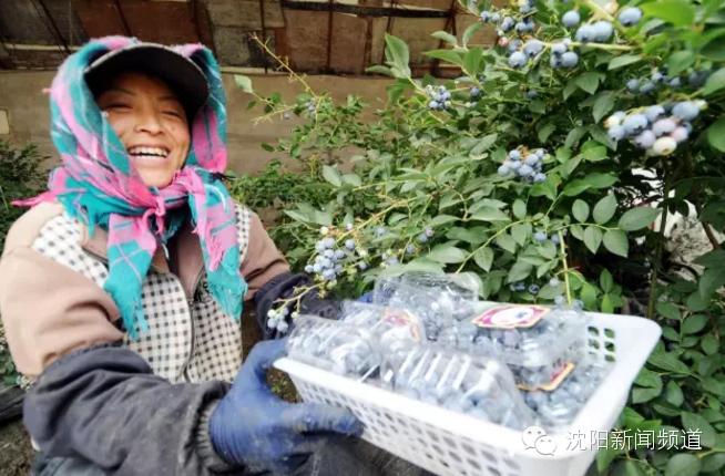 沈阳五一亲子游去哪玩,五一沈阳游玩攻略带孩子沈阳市内