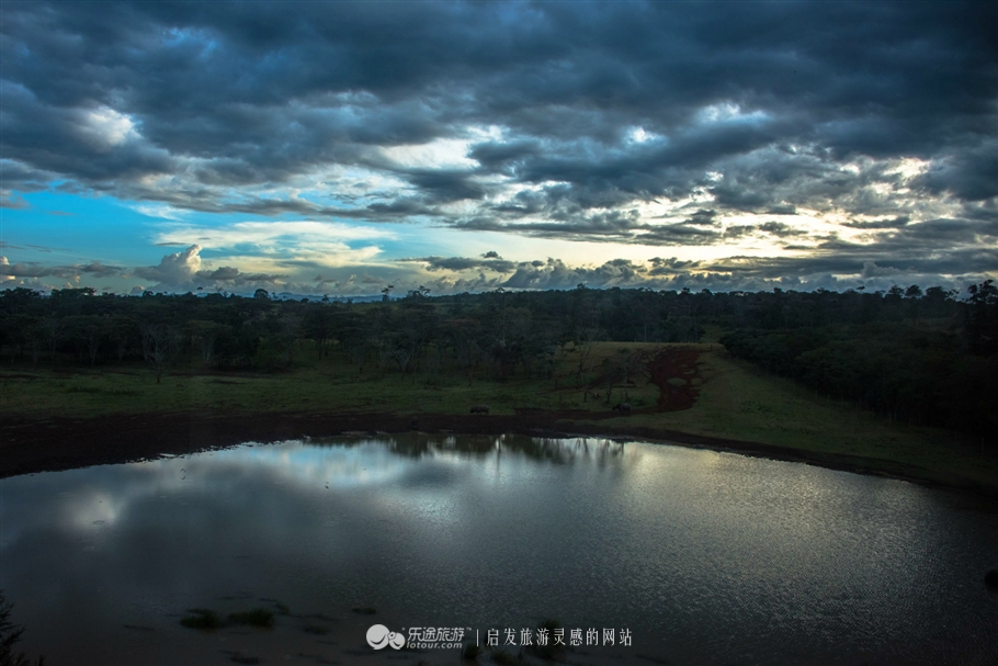 肯尼亚树顶酒店我住在了女王隔壁