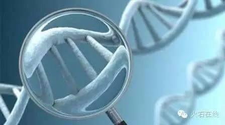 火视212|sangamo再次突破:永久治愈单基因的遗传性疾病