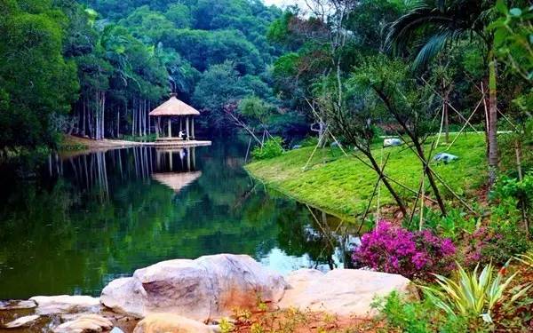 市委书记王蒙徽在厦大说了啥，师生们连连鼓掌