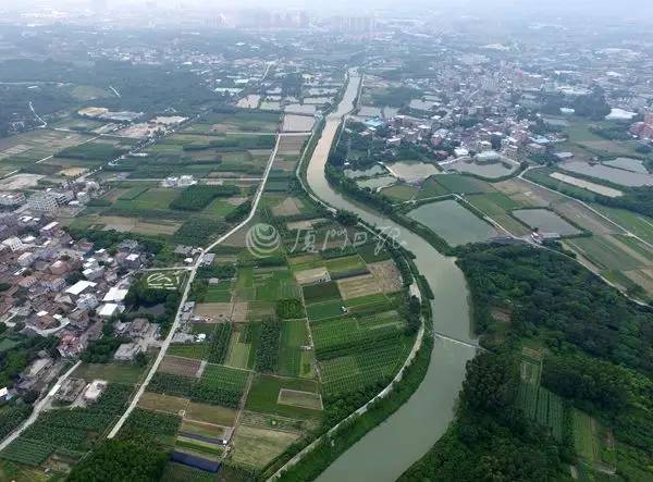 市委书记王蒙徽在厦大说了啥，师生们连连鼓掌