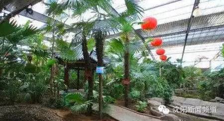 沈阳五一亲子游去哪玩,五一沈阳游玩攻略带孩子沈阳市内