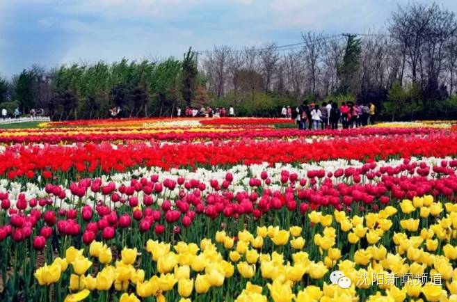 沈阳五一亲子游去哪玩,五一沈阳游玩攻略带孩子沈阳市内