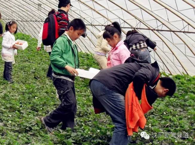沈阳五一亲子游去哪玩,五一沈阳游玩攻略带孩子沈阳市内