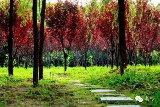 五一劳动节探险王国,五一假期丛林探险