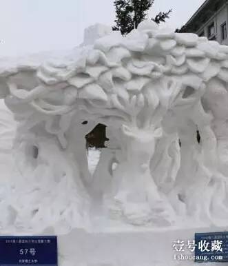 天下第一奇石宴值多少钱,奇石宴108道菜价格