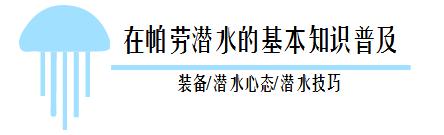 帕劳潜水旅行攻略,帕劳潜水旅行清单