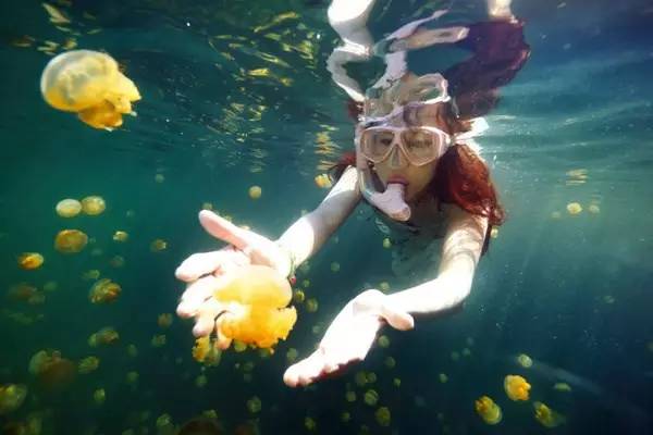 帕劳潜水旅行攻略,帕劳潜水旅行清单