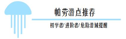 帕劳潜水旅行攻略,帕劳潜水旅行清单