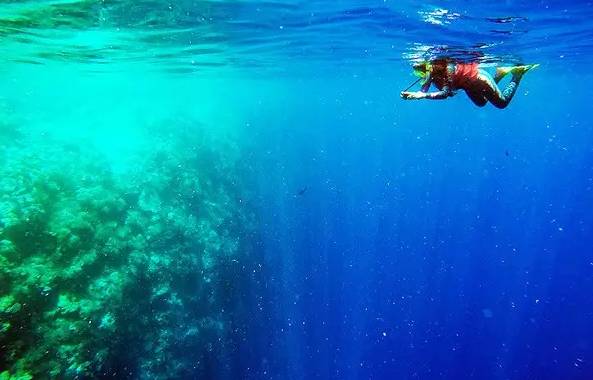 帕劳潜水旅行攻略,帕劳潜水旅行清单