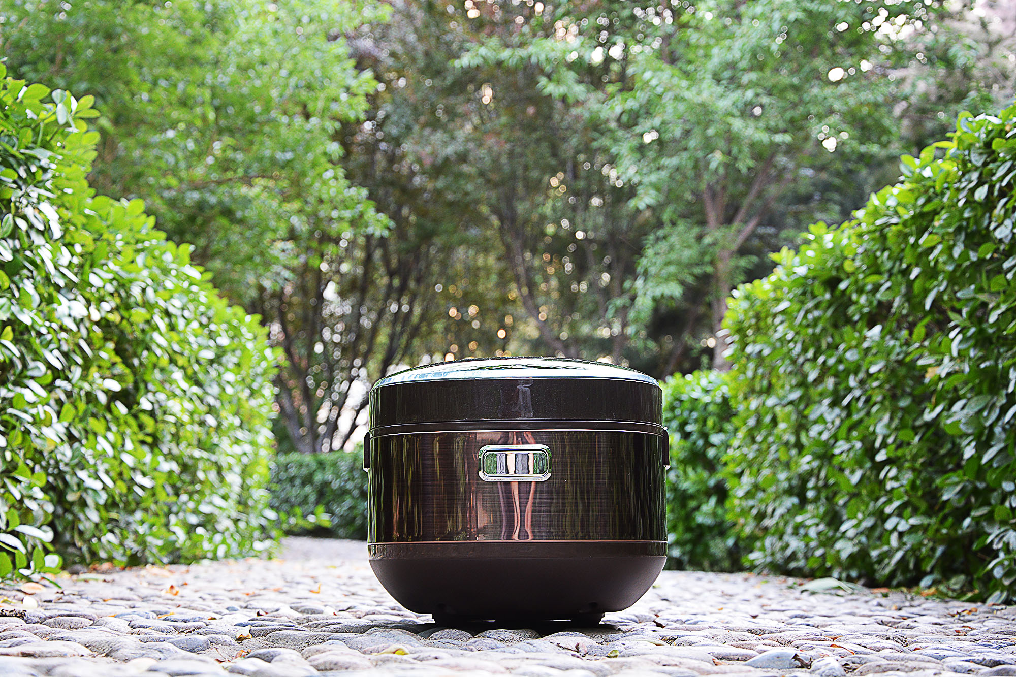 爱仕达ih铁釜电饭煲怎么样,爱仕达0涂层ih电饭煲评测