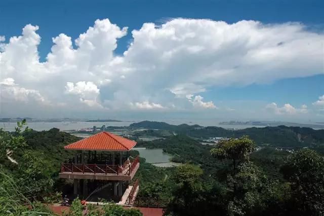 从A到Z，26个字母，看透大南沙！