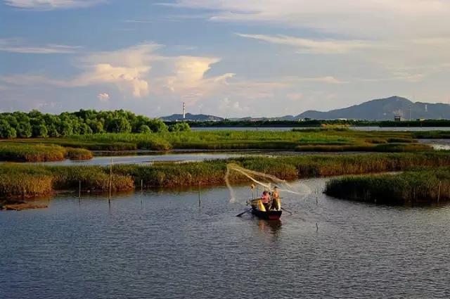 从A到Z，26个字母，看透大南沙！