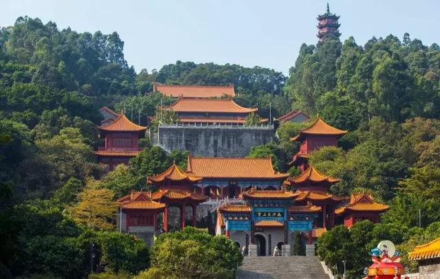 从A到Z，26个字母，看透大南沙！