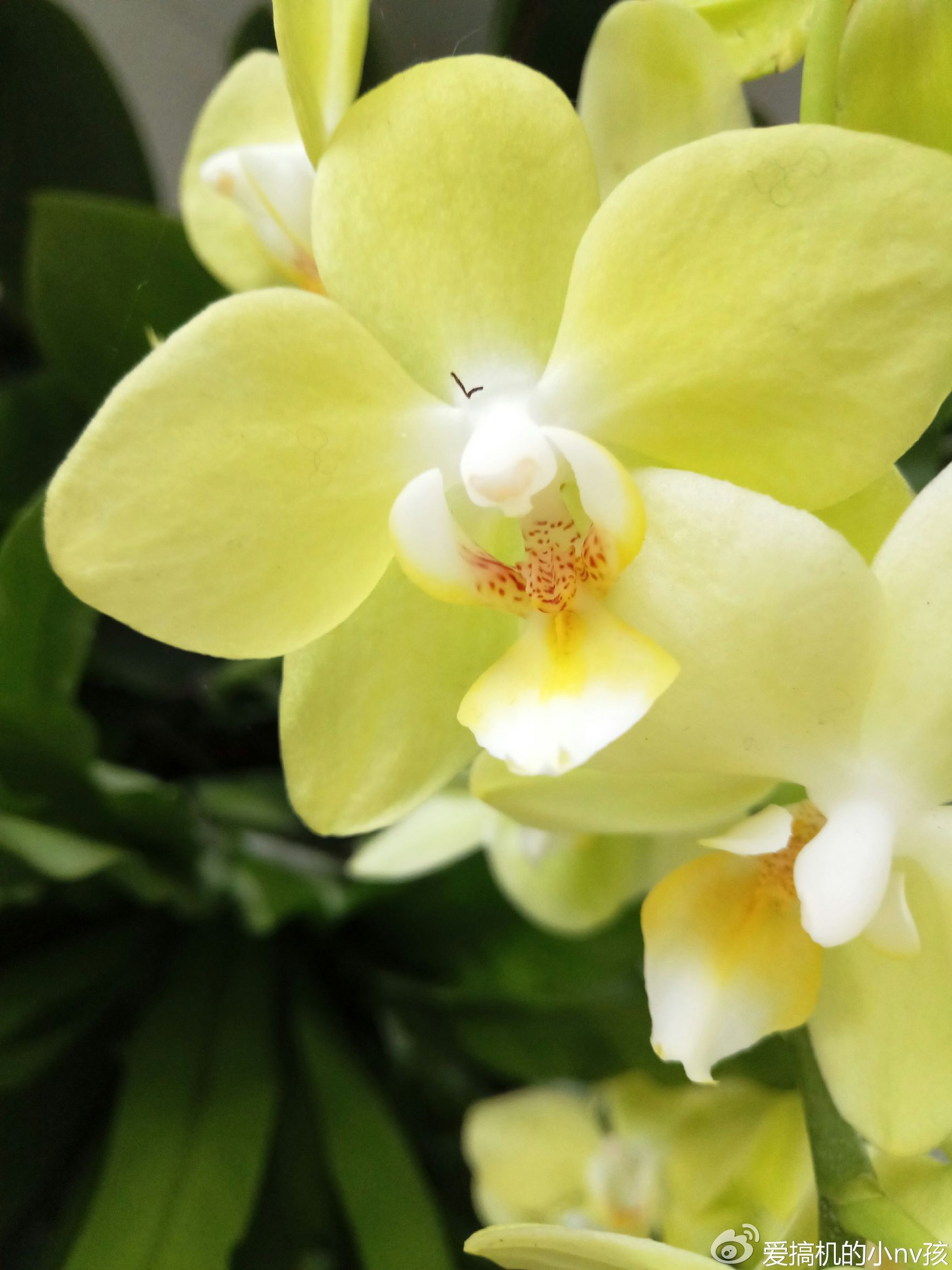 个性评测：关于魅族PRO6你们最关心的6大问题