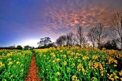 韩国玩乐攻略,去韩国怎么玩好玩