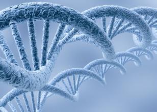 免疫细胞阻止癌症的方法,得了癌症可以免疫细胞治疗吗