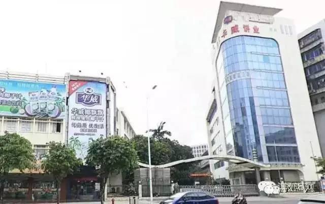 湛江的知名商品有哪些品牌,湛江有啥突出品牌的产品