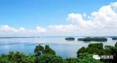 湛江的知名商品有哪些品牌,湛江有啥突出品牌的产品