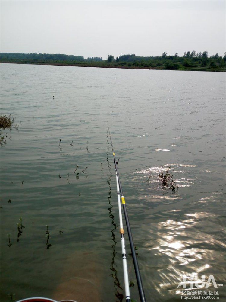 化氏速散颗粒适合用什么饵料钓,化氏不空军饵料和蓝鲫哪个好用