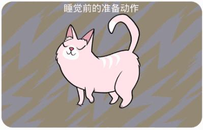 新手养猫指南铲屎官必看,铲屎官需要知道45条养猫知识科普