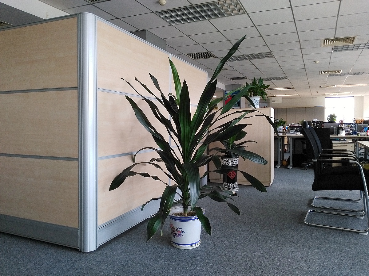 千元机畅玩,令人无法拒绝的荣耀畅玩5x