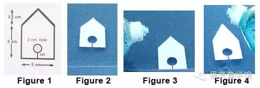 在家就可以做的物理小实验及原理,5个简单的物理实验