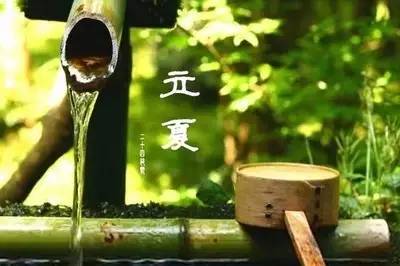 却是石榴知立夏的翻译,却是石榴知立夏年年花开什么意思