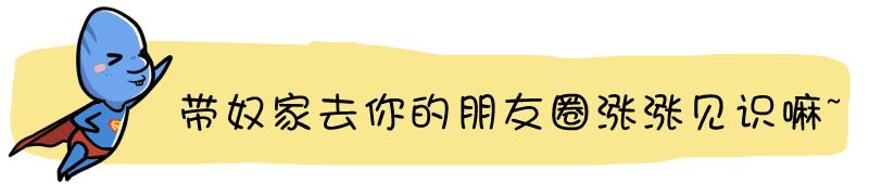 国家电网推出“电e宝”，马云又流泪了