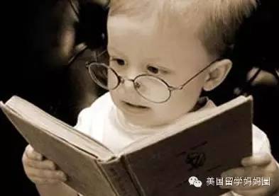 美国常青藤学校,美国常青藤大学教育