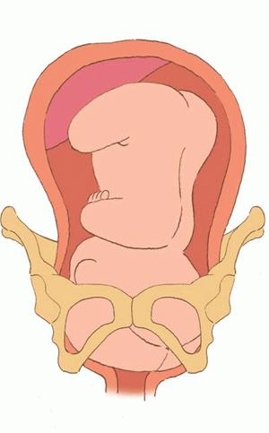 孕妇分娩过程中按肚子,孕妇的分娩过程