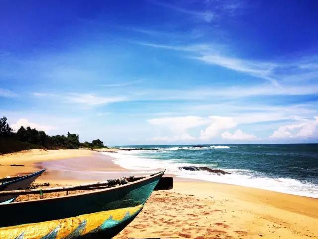 义工旅行自由行,新西兰义工旅行