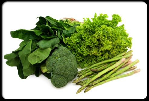 头发又少又油又塌,头发稀少吃什么补回来