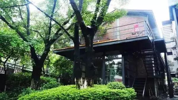 2016应届生最值得加入的“酷”公司（珠三角区）