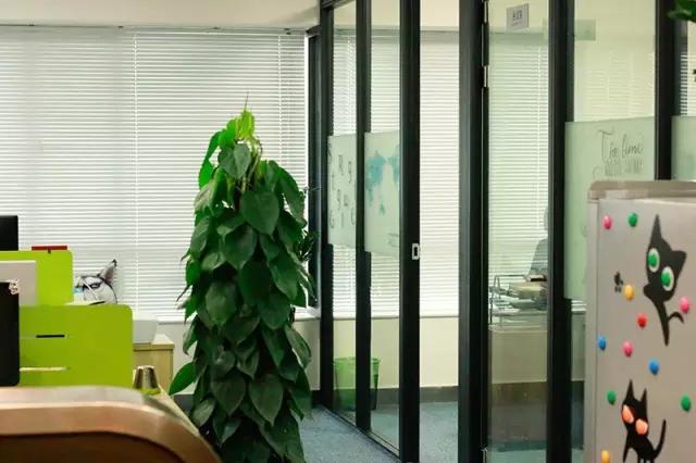 2016应届生最值得加入的“酷”公司（珠三角区）