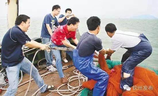 钦州三娘湾免费门票,钦州三娘湾景区现在还收费吗