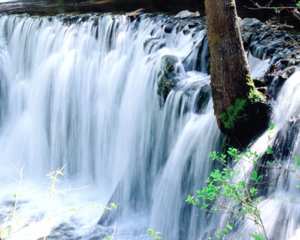 双阳吊水壶与神鹿峰国家森林公园,母亲节带着母亲游公园