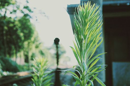 qq空间的情感语录,qq空间感情留言