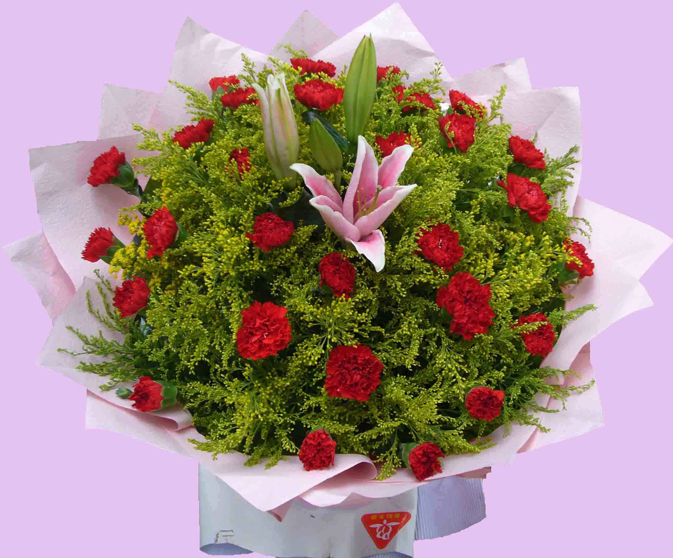 母亲节送几朵康乃馨花含义最好,母亲节送康乃馨配什么花最适合