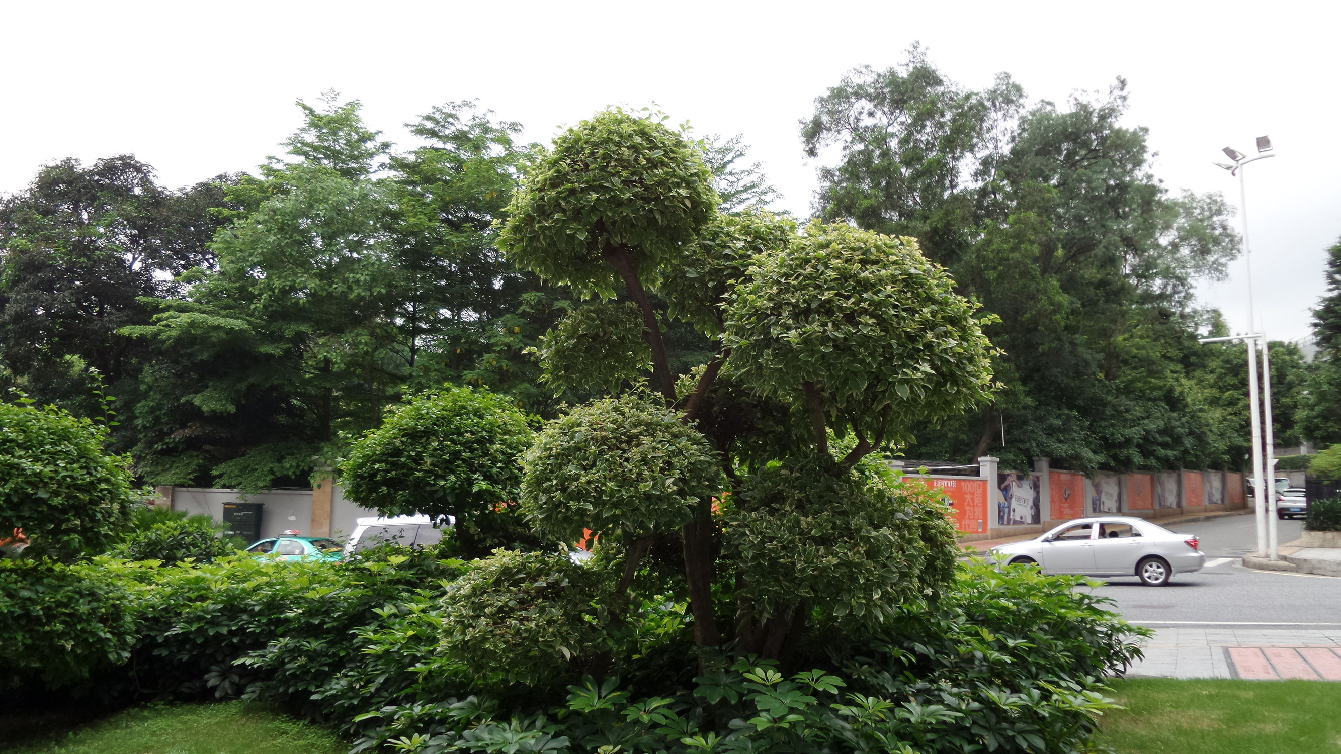 十倍光学变焦公认最好拍照手机,可变焦拍照神器