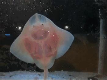 用我巨萌的强力剂,治愈你的宝宝萌化症