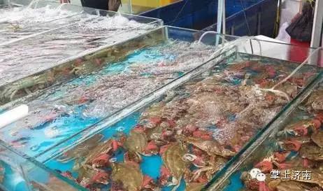 往水里扔一把“白色粉末”,一动不动的花蛤立马“回光返照”!这