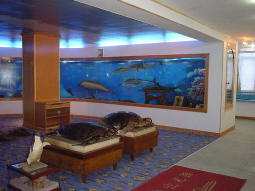 在广州有哪些适合亲子三天游,广州2大2小亲子游推荐攻略