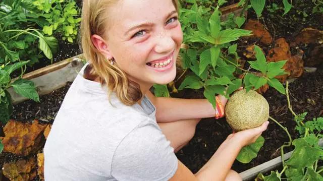 北美大叔玩起真实版开心农场,1平米菜园竟成国际潮流