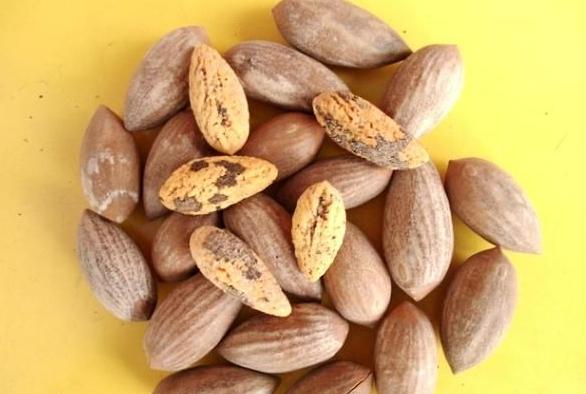 这些水果你一定不能错过,这些水果一定要多吃抓紧收藏