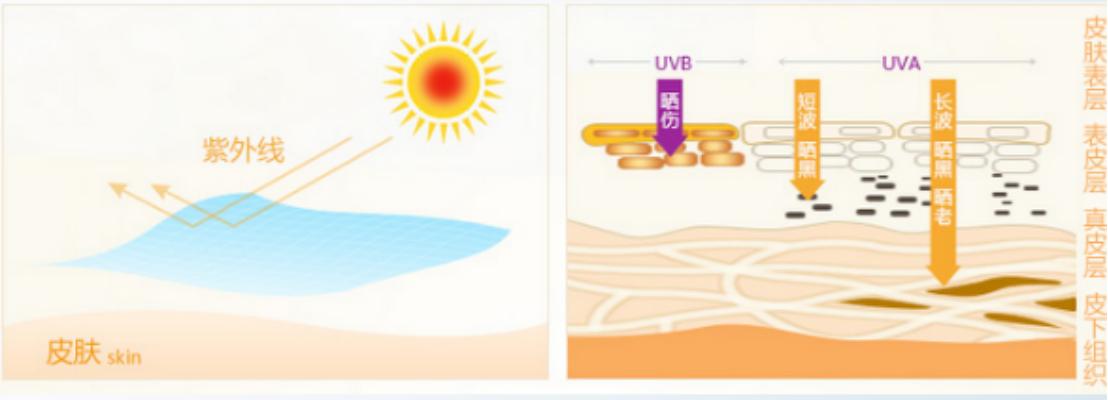 毕业季太阳伞,毕业季防晒