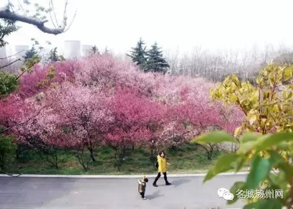 大事件！扬州要改名了！尼哪块不晓得？